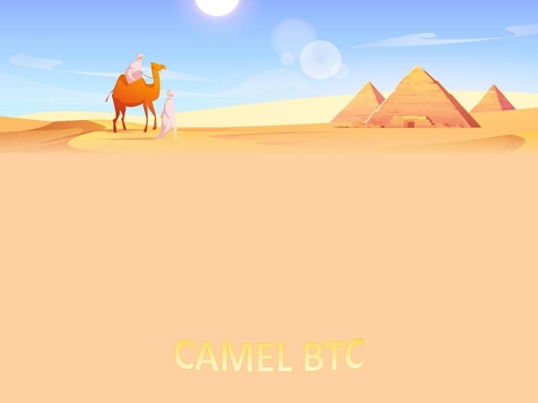 camelbtc.com
